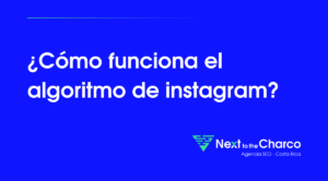 algoritmo instagram