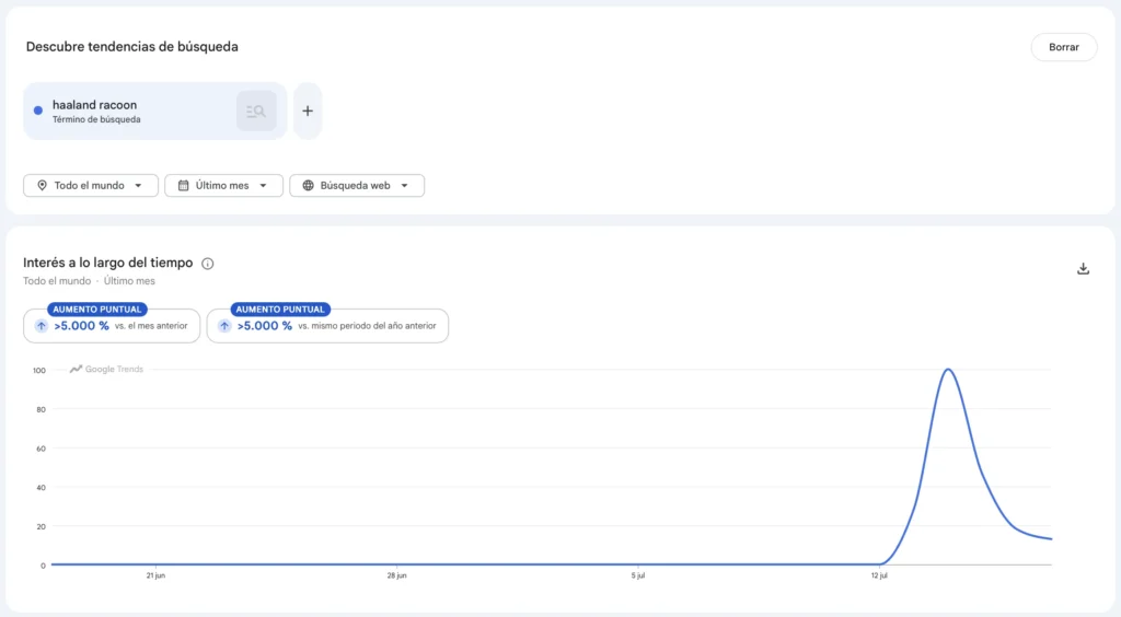 Captura de Google Trends para Haaland Racoon